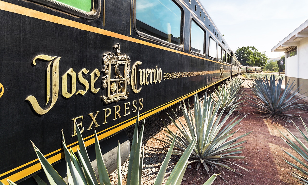 Tour Tequila Express Tienes que Vivirlo Vuelo Metro